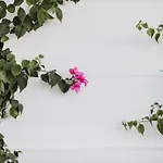 Lot Boutique By And Preference Hotel 5*