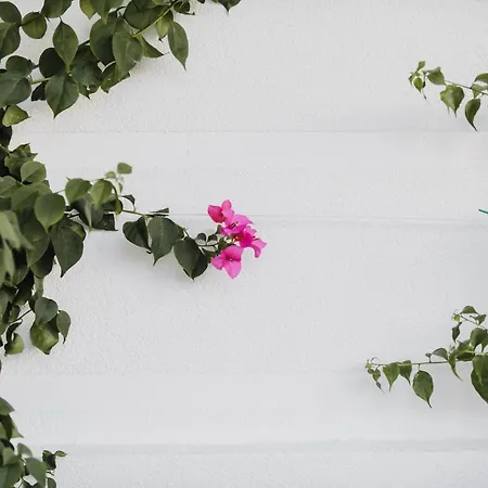 Lot Boutique By And Preference Hotel 5*