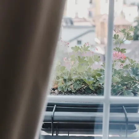 Hotel Lot Boutique By And Preference