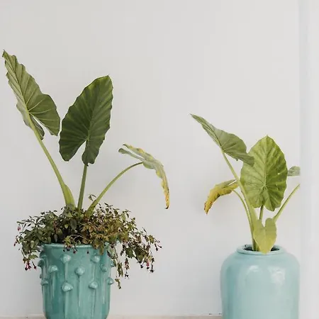 Lot Boutique By And Preference تيرانا