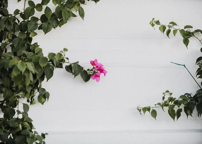 Lot Boutique By And Preference Hotel 5*